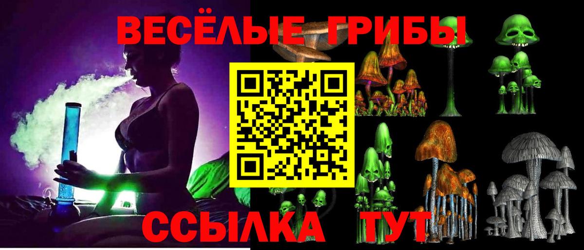 Псилоцибиновые грибы Cubensis Калач-на-Дону