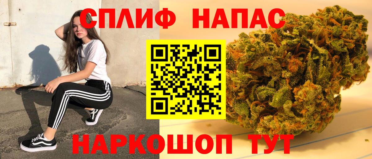 Каннабис план  Бошки Шишки тримм  Бошки марихуана VHQ  Калач-на-Дону  Вход с VPN 